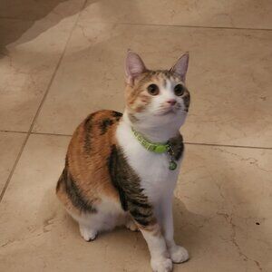 Meet your Posher, Posh